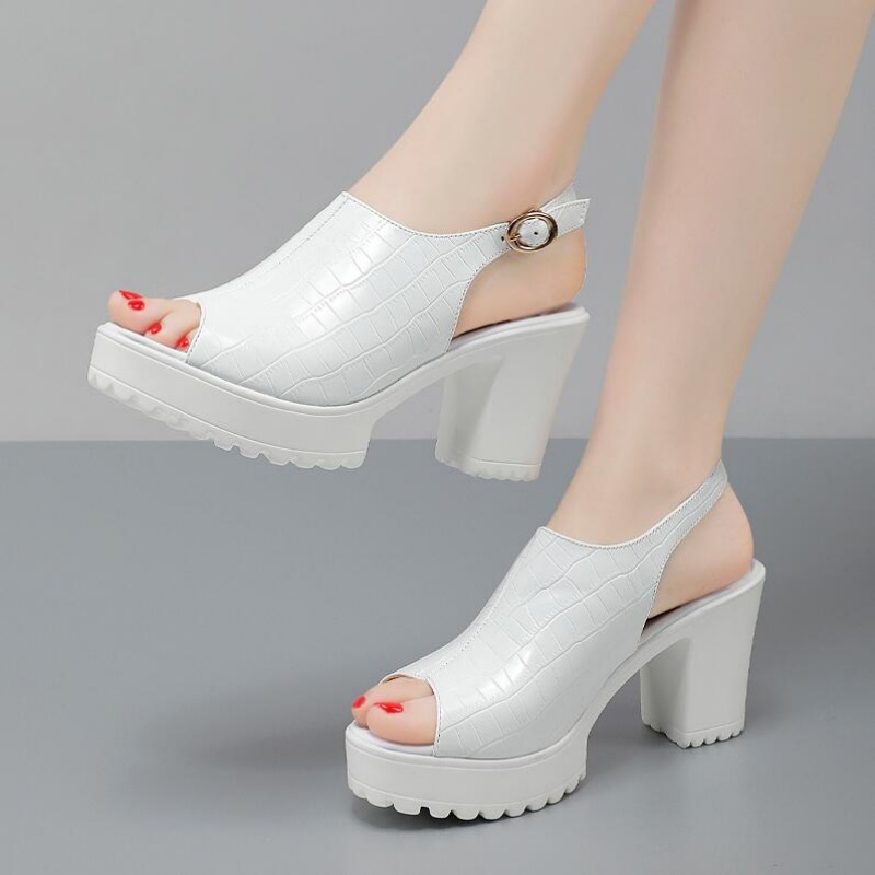 Damen Kleine Größen 32-43 Eleg – Women Fashion Model Bewertung und Preis